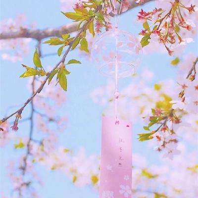 投资专家：市场“亟需明确信息”以应对伊朗战争局势